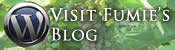 wordpress blog